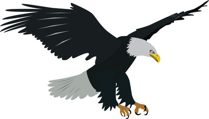flying bald eagle vector
