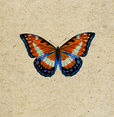 Plakat Butterfly