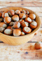 fresh hazelnuts in shell