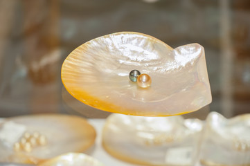 Pearls in shell