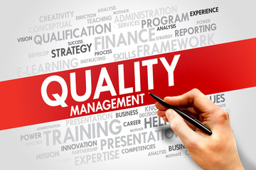 Quality Management word cloud, business concept