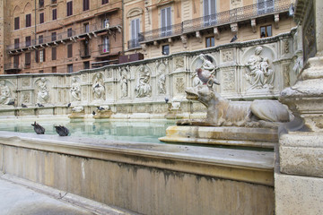 Fototapeta premium Siena