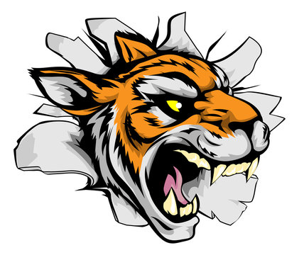 Tiger sports mascot breaking out