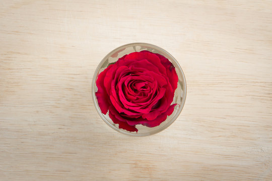 A red rose in a glass on the wood block