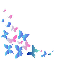 butterflies design