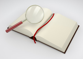 LIVRE OUVERT+LOUPE