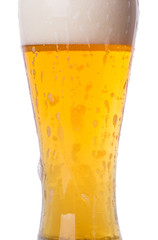 glass of beer