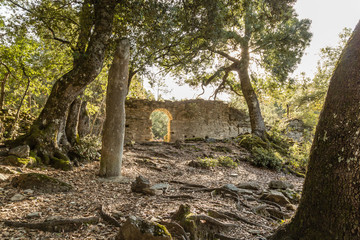 Stone Menhir de Petra Frigiata in Corsica