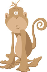 Monkey looks at us strangely a bit.