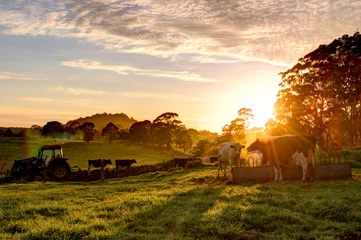 Foto op Canvas Sunrise on the farm © dlphoto6