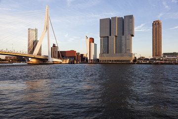 Fototapeta na wymiar Rotterdam skyline with Erasmus Bridge