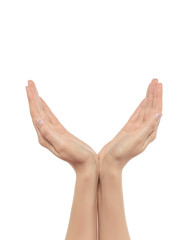 Closeup female opened hands