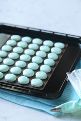 Macaron Shells on a baking pan