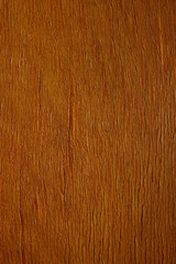 Obraz premium Wood texture