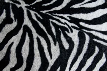 Poster Im Rahmen texture of print fabric stripes zebra for background © Noey smiley