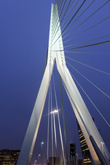 Erasmus Bridge.  Rotterdam, South Holland, Netherlands.