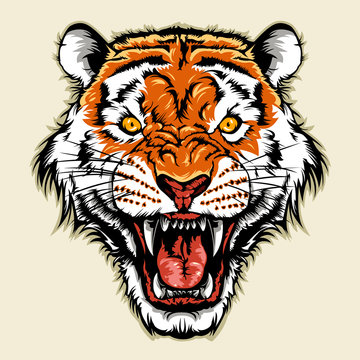 angry tiger head