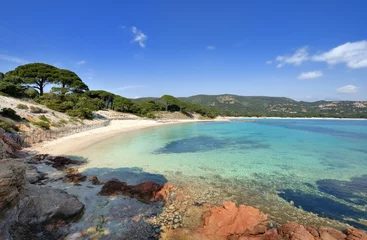 Cercles muraux Plage de Palombaggia, Corse plage sublime
