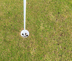 Obraz premium Golf course