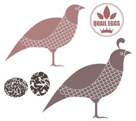 Quail