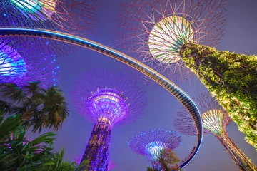 Foto op Plexiglas night scene at Singapore city © Noppasinw