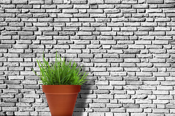 Ziegelwand mit Topfpflanze