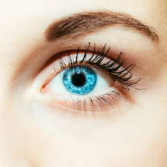 Fototapeta premium Bright Blue Eye Close Up