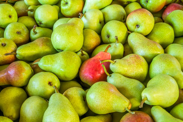 Crate of Pears