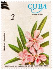 Stamp printed by Cuba shows the Oleander flower © Great Brut Here