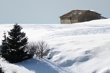 bocca ndi selva