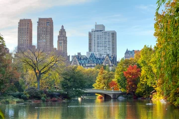 Muurstickers Central Park in Fall © deberarr