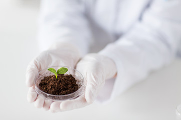 close up of scientist hands with plant and soil