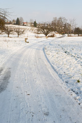 Obraz premium Chemin dans la neige
