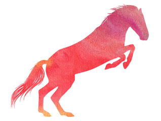 Watercolor horse silhouette