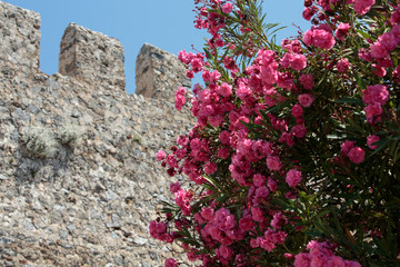 Ruins of Ottoman fortress in Alanya . Turkey.