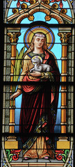 Obraz premium Saint Agnes,Stain Glass window