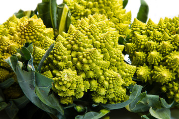 Romanesco broccoli cabbage