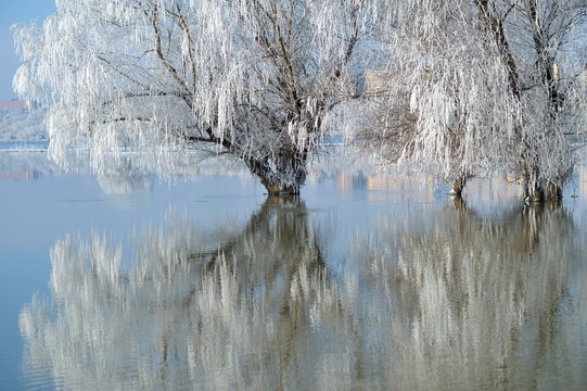 winter landscape