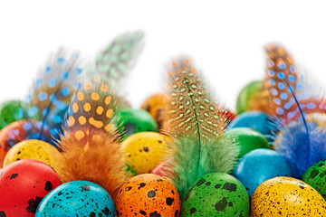 Easter quail Eggs painted beautiful multicolored background