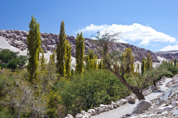 Rocky path inside Atacama desert canyon