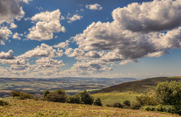 Quantock Hills Somerset