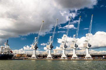 White Cargo cranes at terminal in harbor of Antwerpen