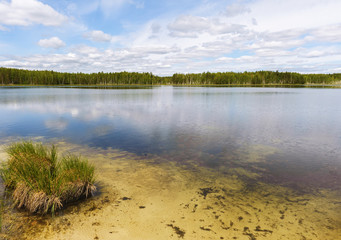 Summer landscape.