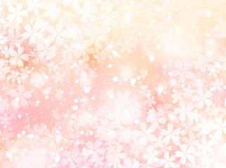 桜　花　背景
