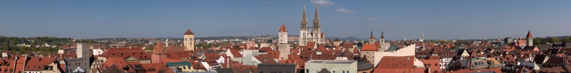 Fototapeta na wymiar Panorama über Regensburg