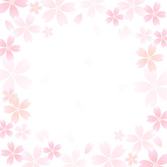 桜　花　背景