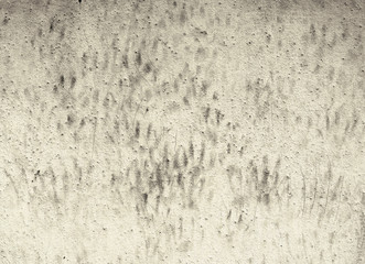 Blank Concrete Stonewall Cement Textured Pattern Concept