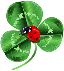 Fototapeta premium St. Patrick Day Three Leafed Clover and ladybug