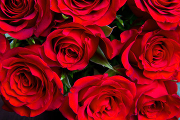 Red natural roses background