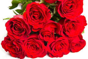 Bouquet of red roses on a white background